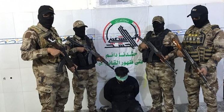 الحشد الشعبی، سرکرده داعش در نجف اشرف را به دام انداخت الحشد الشعبی، سرکرده داعش در نجف اشرف را به دام انداخت