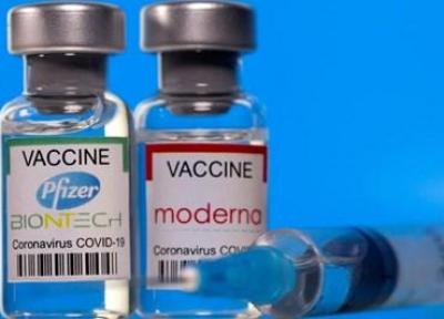 رویترز: اثربخشی واکسن مدرنا بیشتر از فایزر است