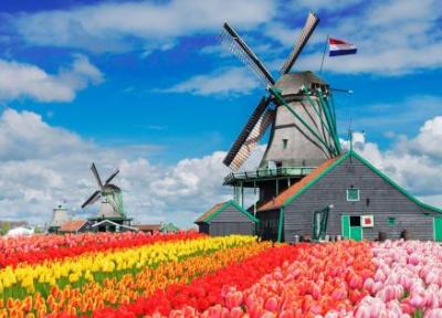تور هلند: همه چیز را درباره آسیاب های بادی هلند بدانید