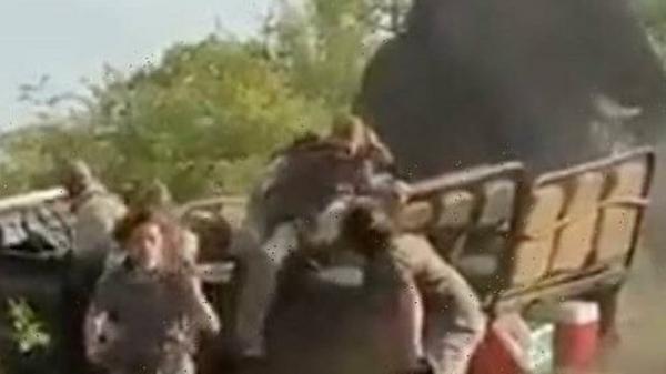 حمله فیل به گردشگران در پارک حیات وحش