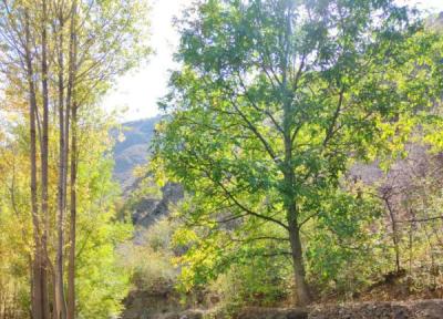 دره کشوه ، طبیعتی سرسبز در نزدیکی مشهد