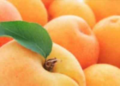 زردآلو، میوه ای مقوی و مغذی