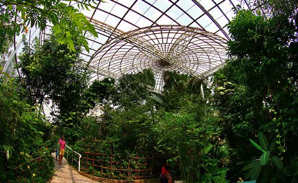 bangkok-butterfly-garden همه چیز درباره باغ پروانه بانکوک