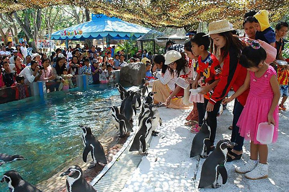 dusit zoo باغ وحش دوزیت بانکوک
